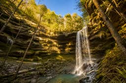 Bungalow by the Falls at The Retreat at Deer Lick Falls - Image 5